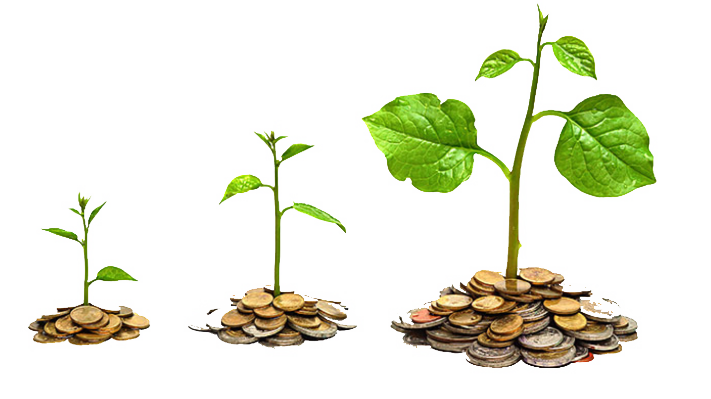 Helping Businesses Become More Sustainable.png